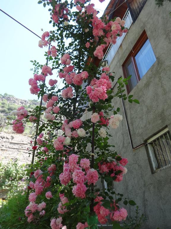 Iris B&B In Debed Canyon Alawerdi Zewnętrze zdjęcie